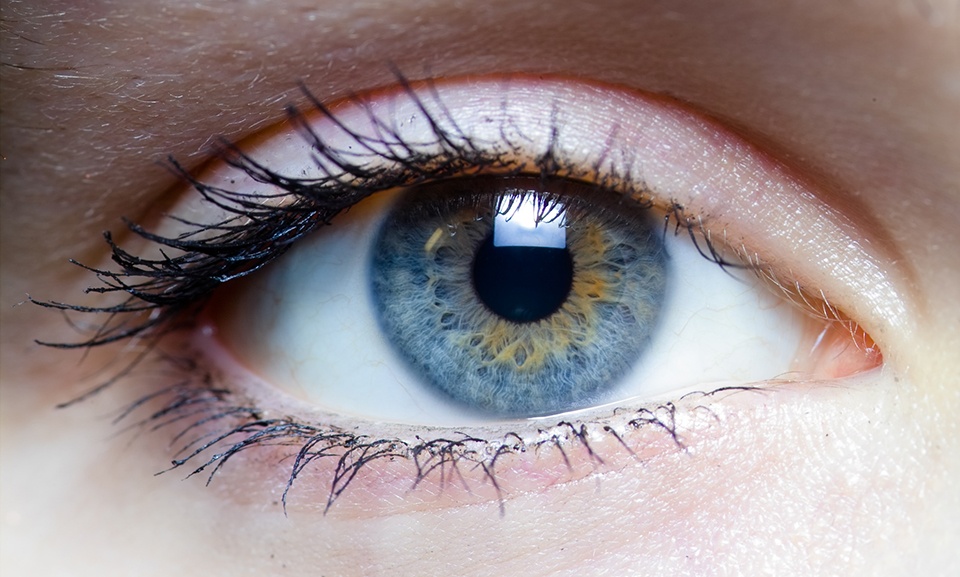 6 Powerhouse Foods for Eye Health and Protection