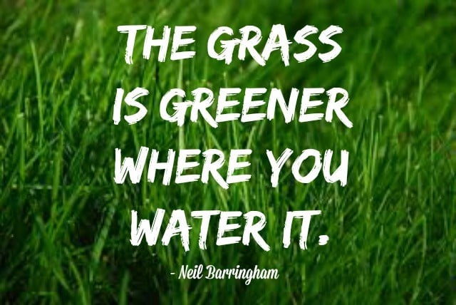 The grass is greener where you water it - Best Inspirational Quote