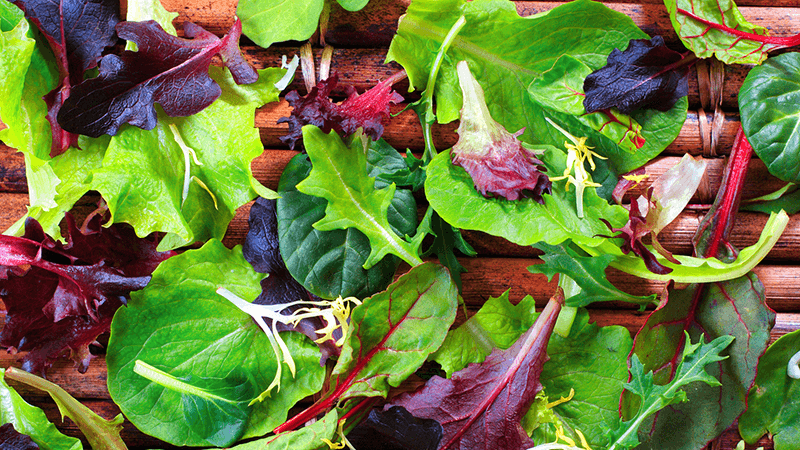 Spinach and other leafy greens for better eye health
