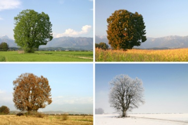 the-Seasons