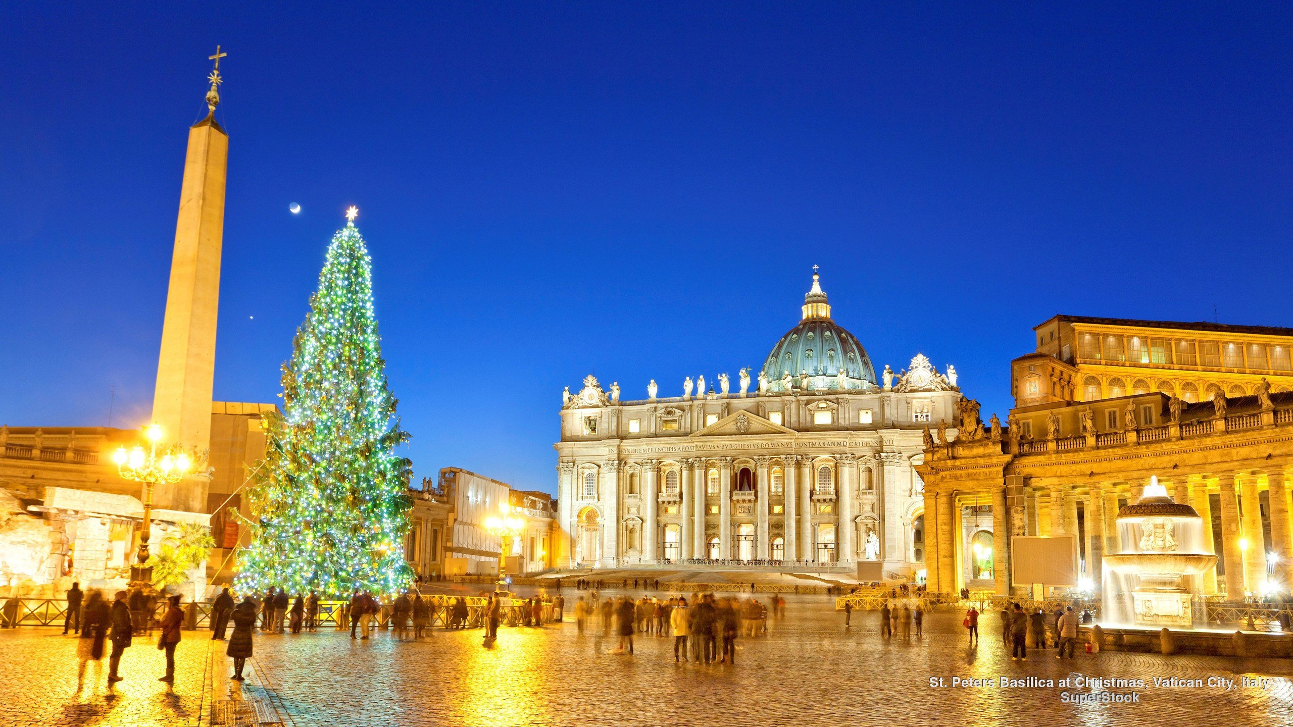 18 Most Beautiful Christmas Trees Around The World