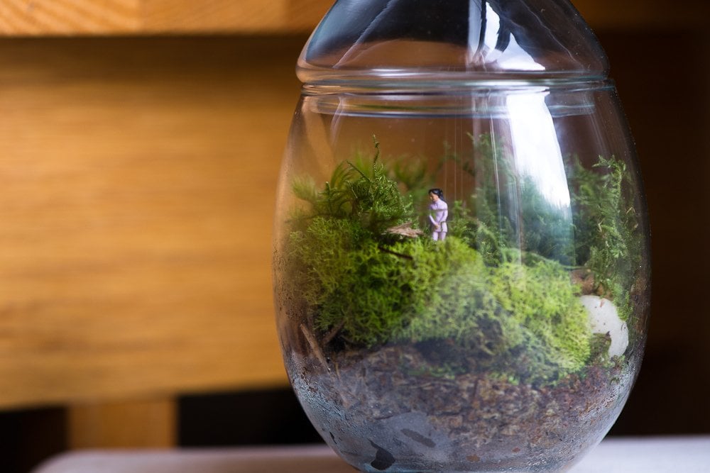 Make A Terrarium With Your Kids And See How Many Decades You Can Make It Last