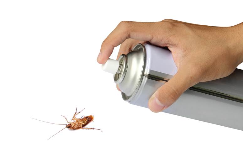 toxic bug spray with chemicals