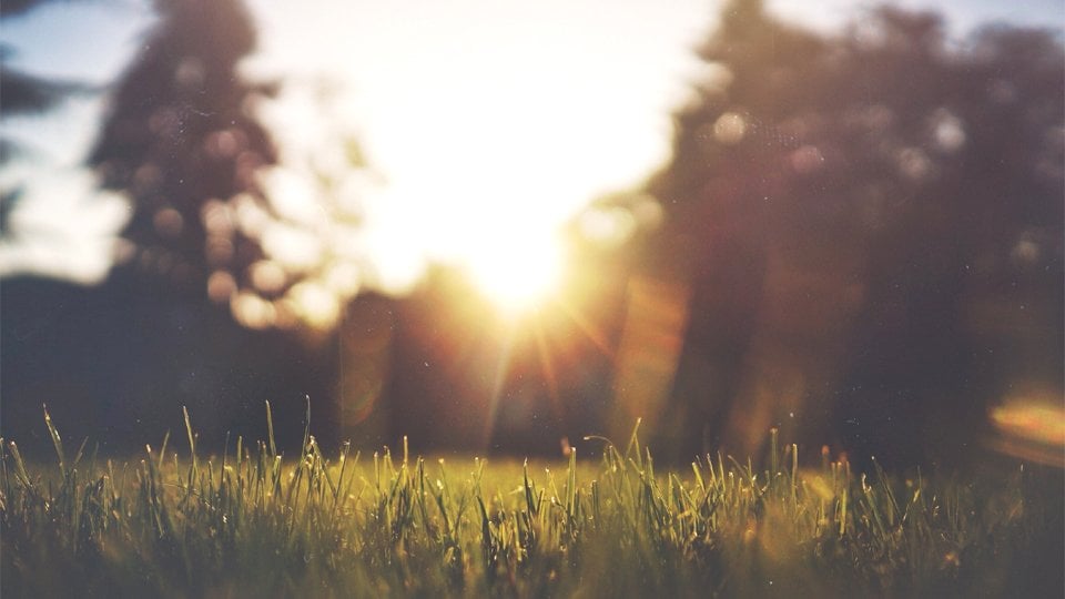 The Ultimate Guide To Your Most Productive Morning Ever