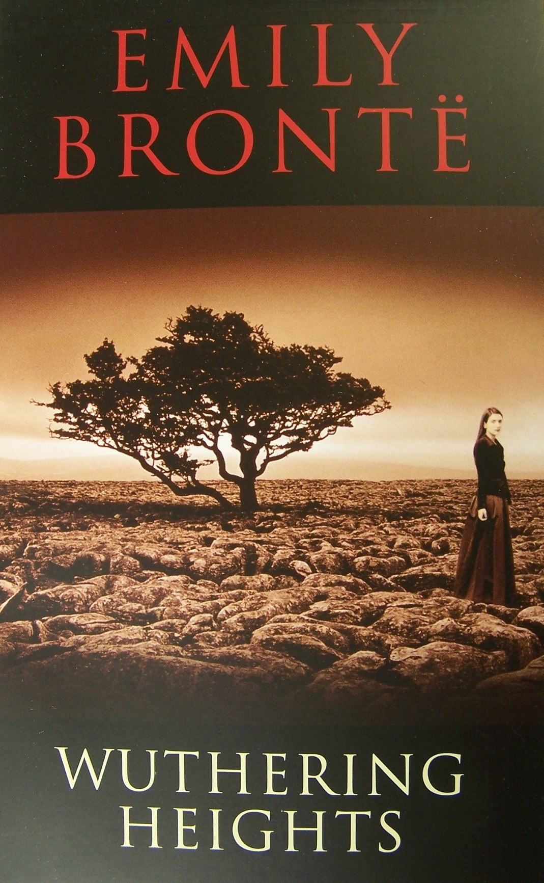 Wuthering Heights, by Emily Bronte - interesting book to read