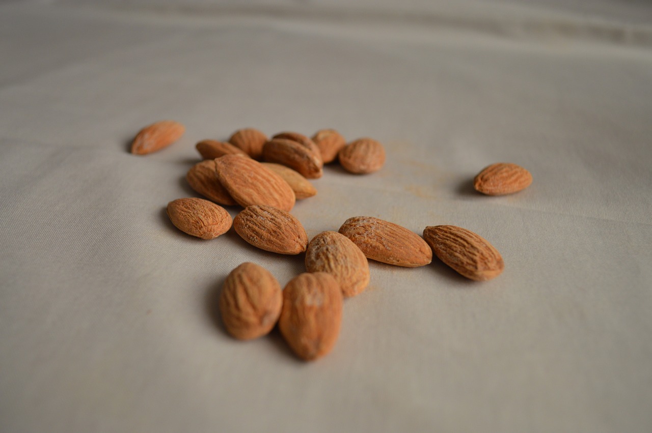 almonds-390408_1280