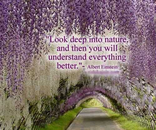 Look-Deep-Into-Nature-Inspirational-Life-Quotes