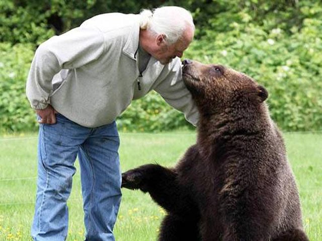 bear and guy 2