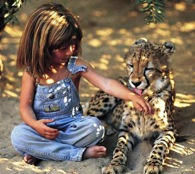 cheetah with girl