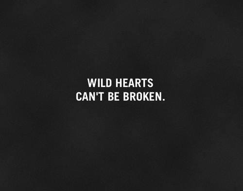 wild-hearts-cant-be-broken
