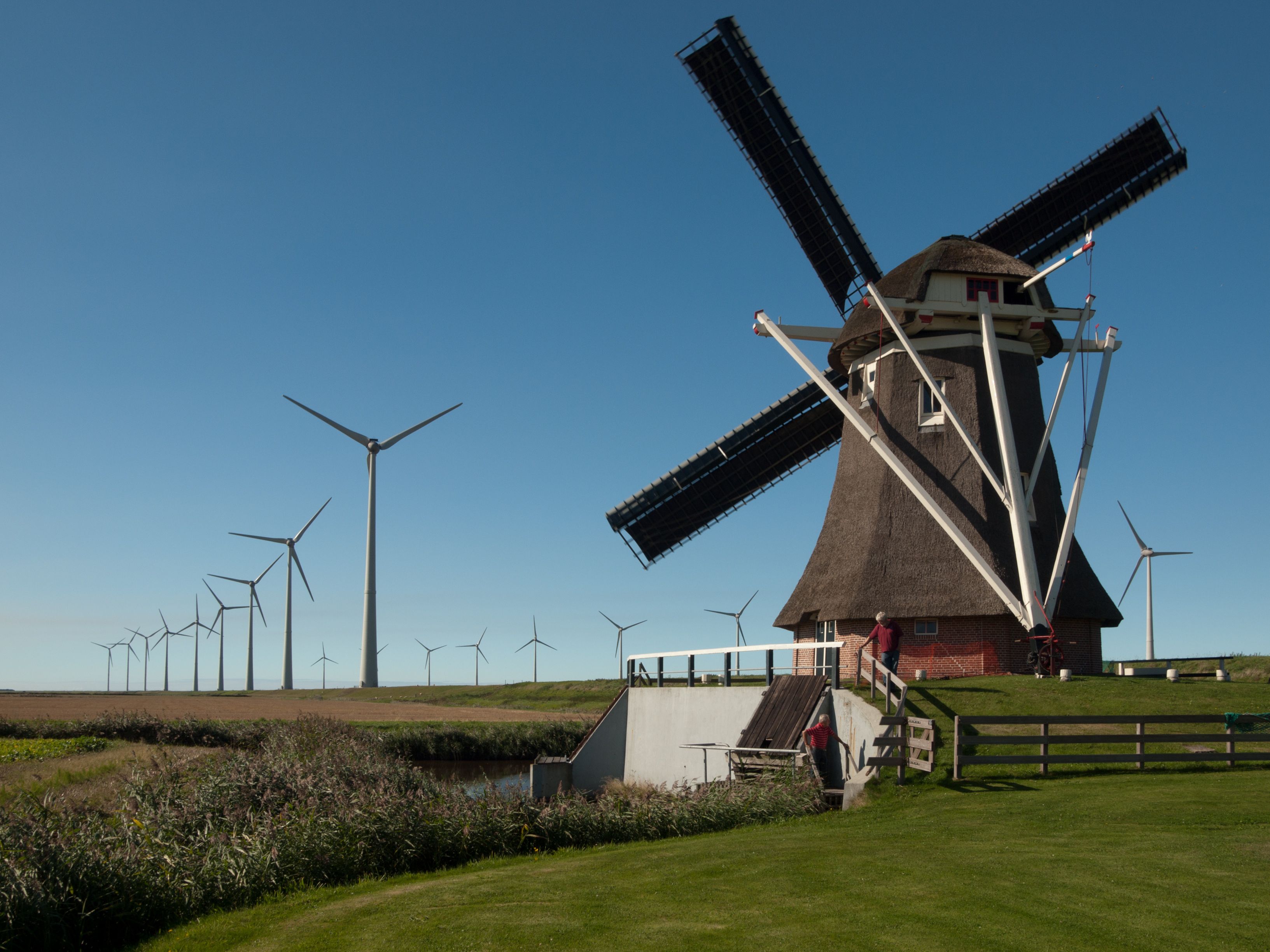 12 Things My American Friends Never Believe About The Dutch