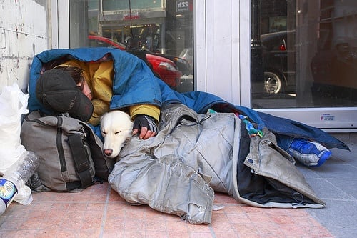 Homeless-man-with-dog-on-st-cat-mar-08