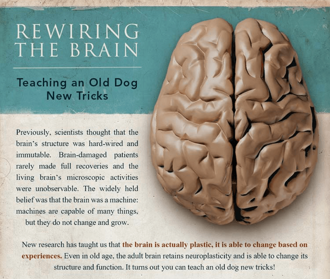 An Infographic To Tell You How Your Brain Works And How To Train It