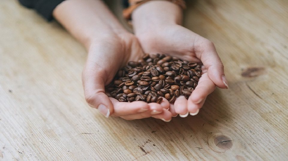 Womans Hands Holding Roasted Coffee Beans