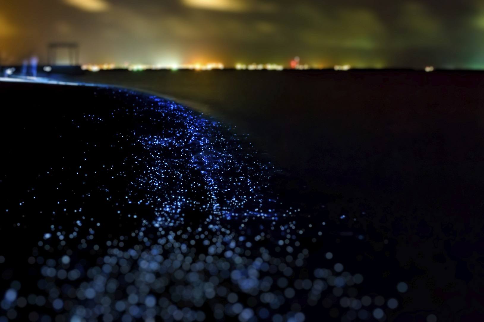Bio luminescence. Illumination of plankton at Maldives. Many par