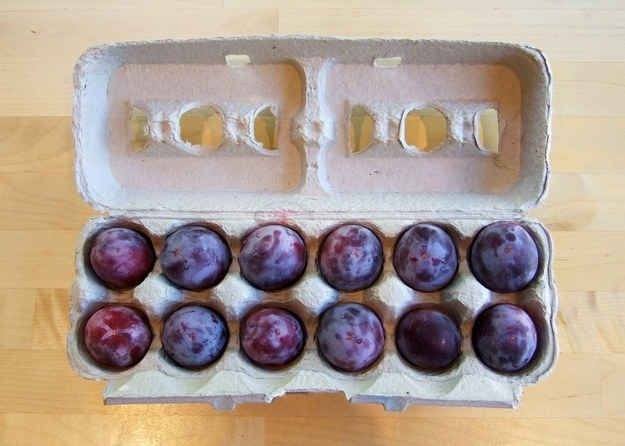 egg carton plums