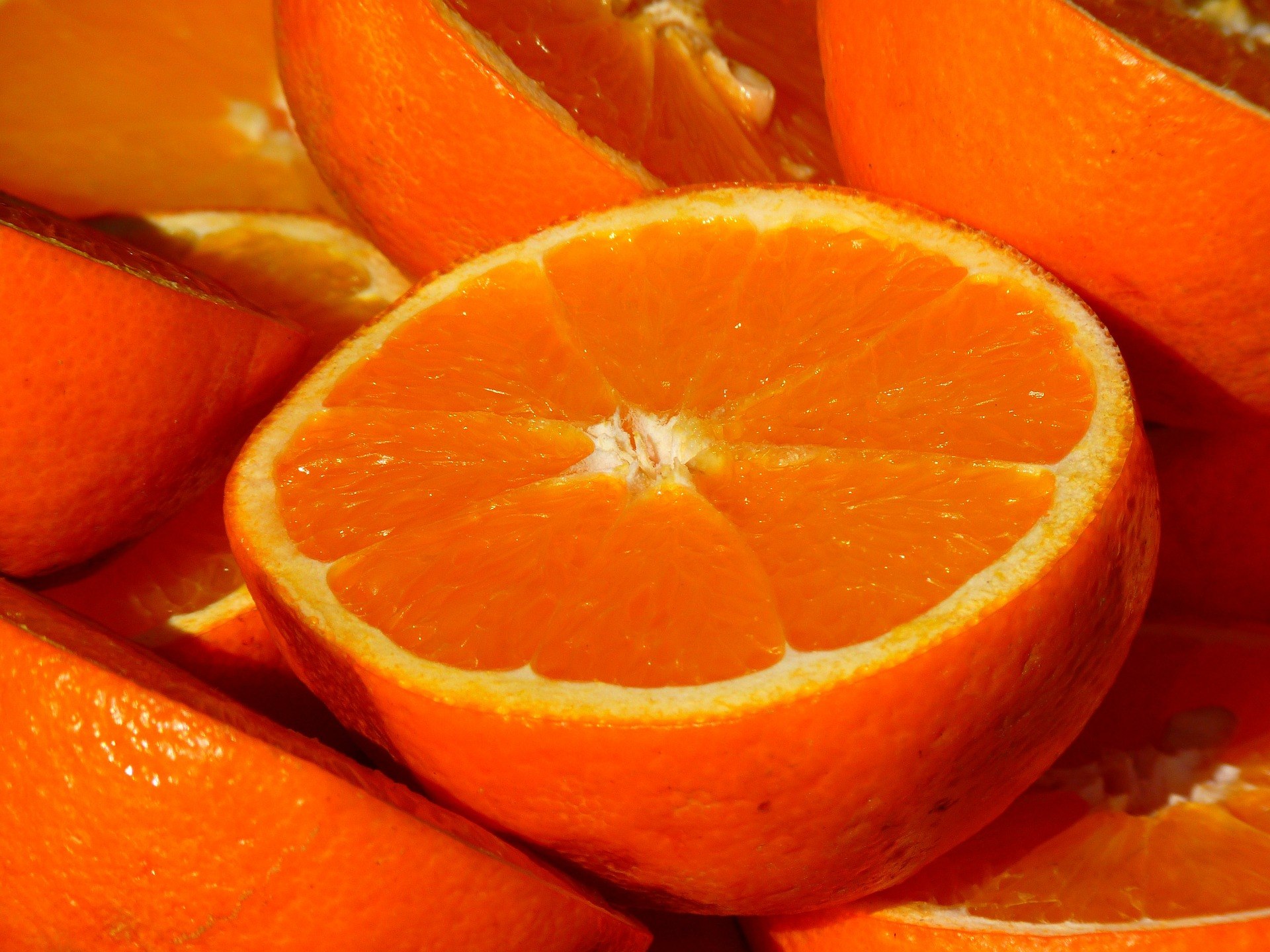 orange-15047_1920