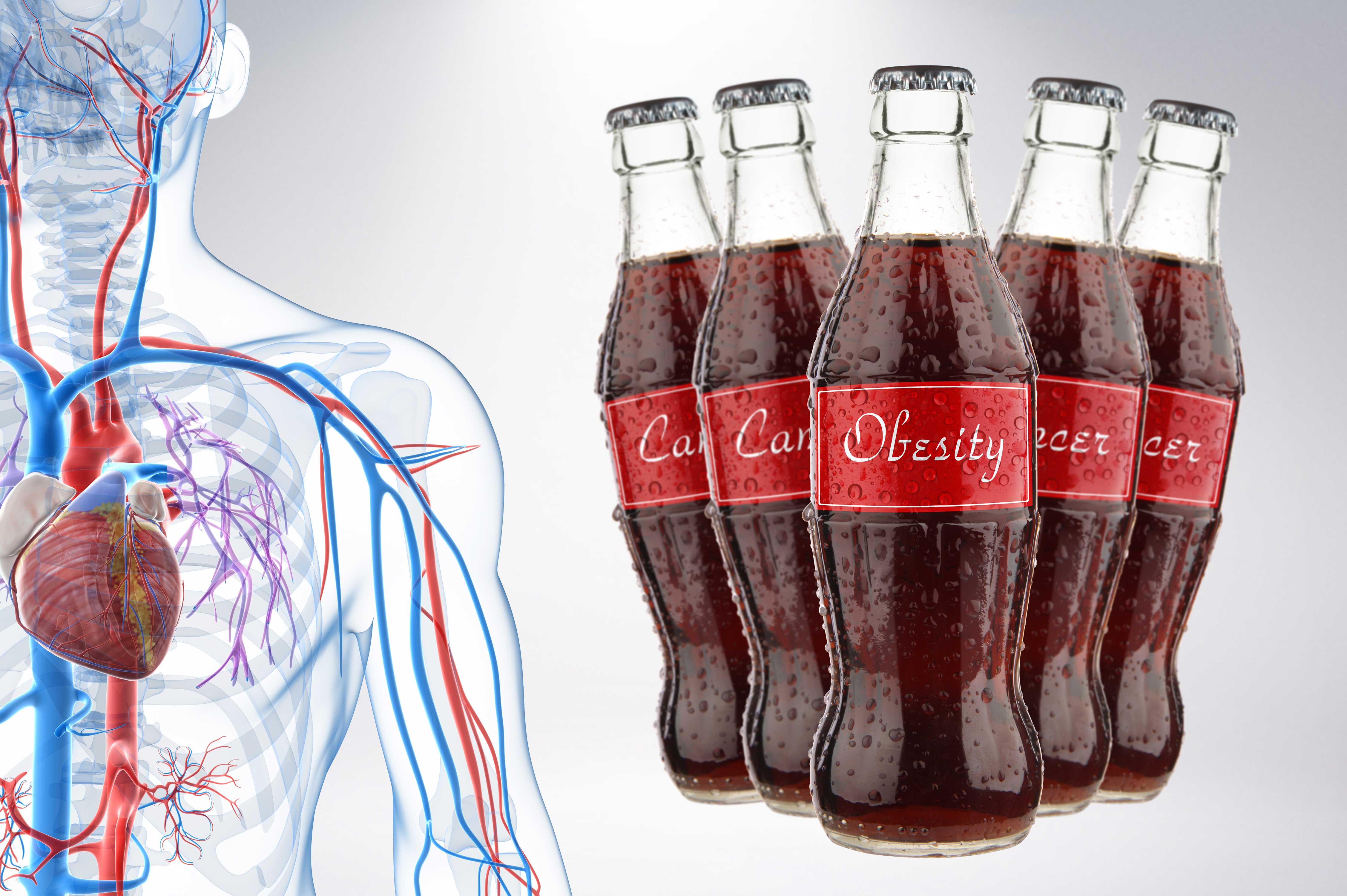 Are Soft Drinks Harmful? 