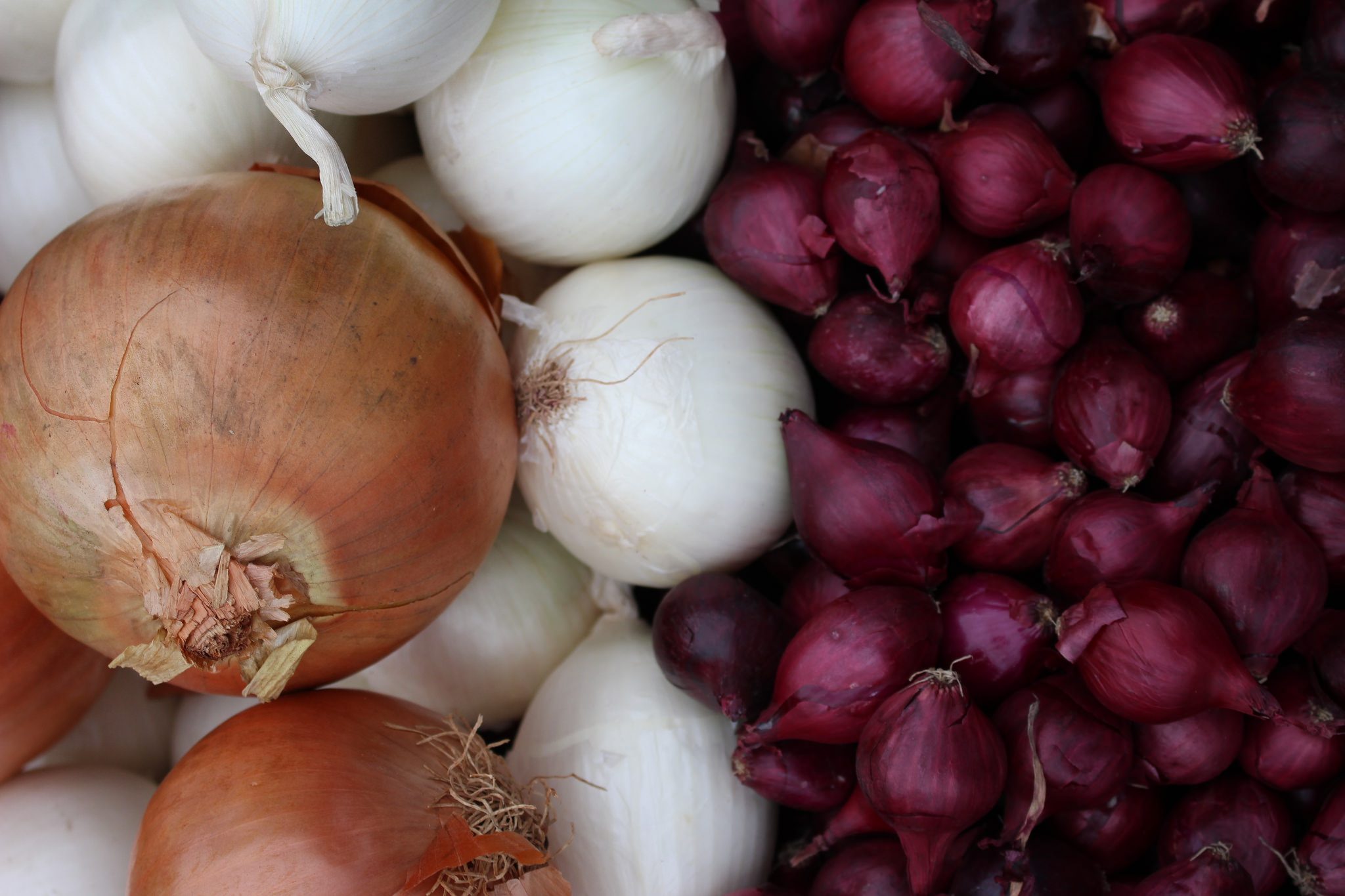 Health Benefits Of Onions That Many People Overlook