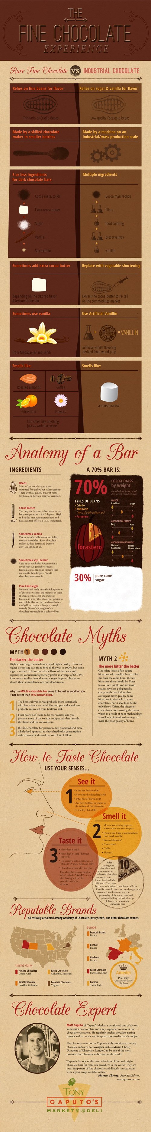 Fine-Chocolate-Experience-Infographic-500