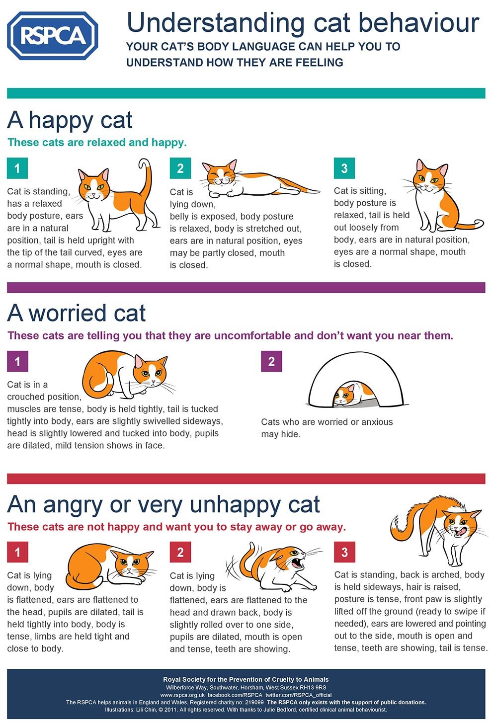 cat-body-language-infographic