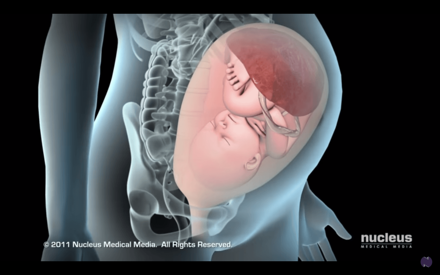 Video: Animation Of Labor And Delivery By Vaginal Birth