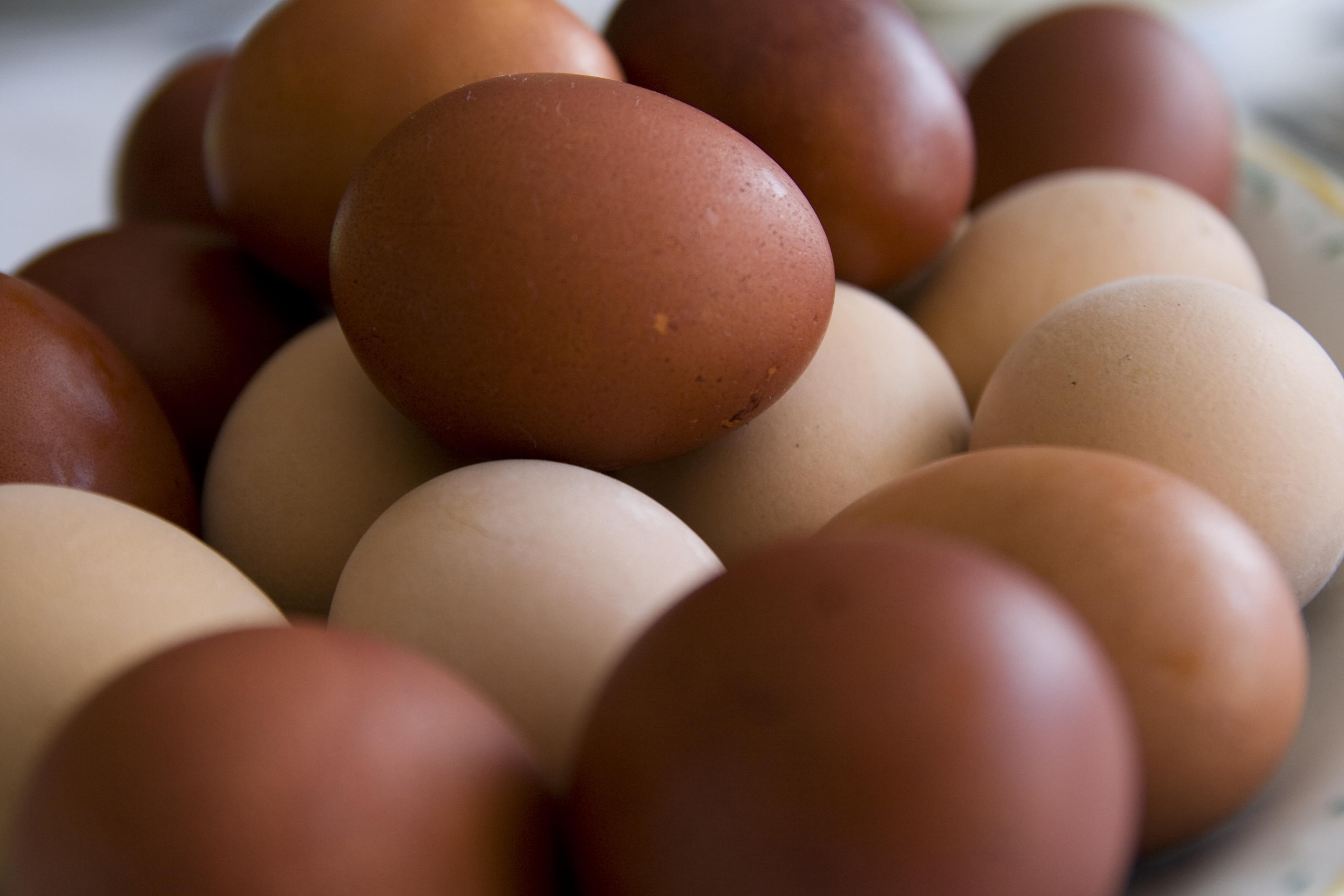 Eggs Are Healthier Than What Most People Think