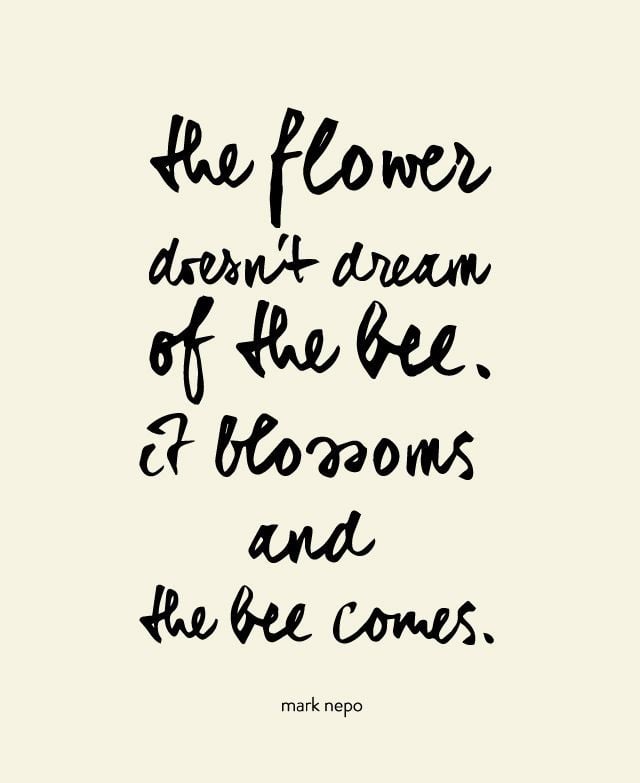The flower doesn&#8217;t dream of the bee, it blossoms and&#8230;