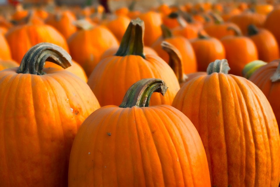9 Secretly Healthy Fall Recipes for Pumpkin Lovers