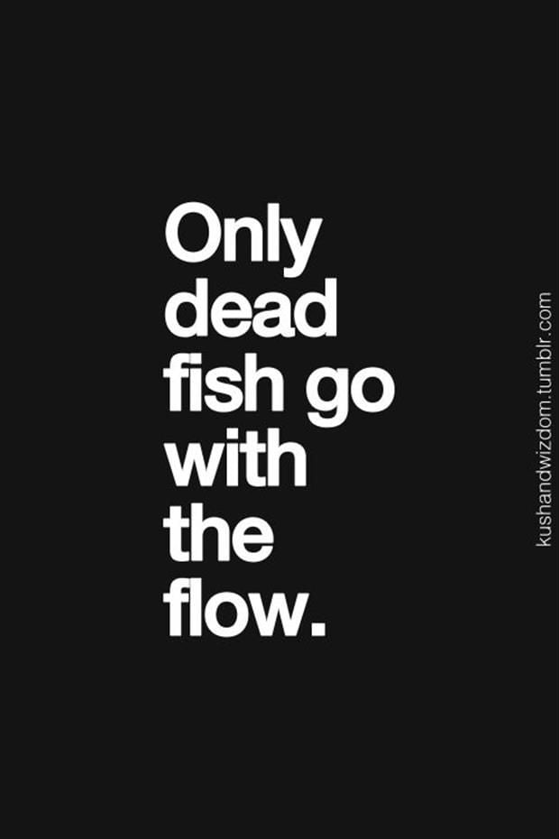 Only dead fish go with the flow