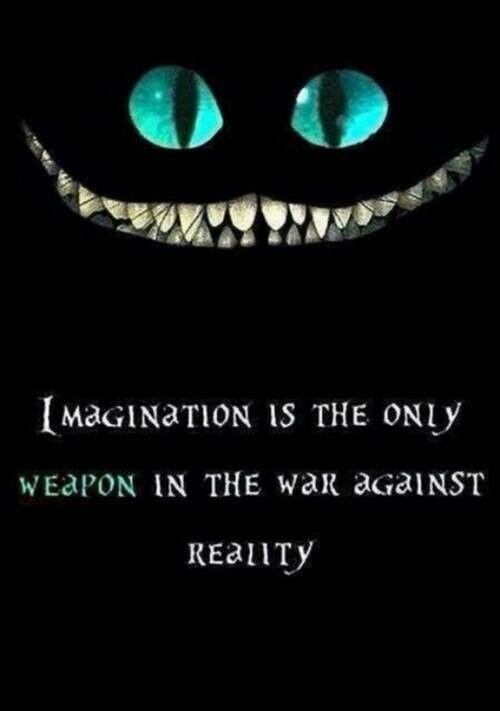 Imagination is the only weapon in the war against reality