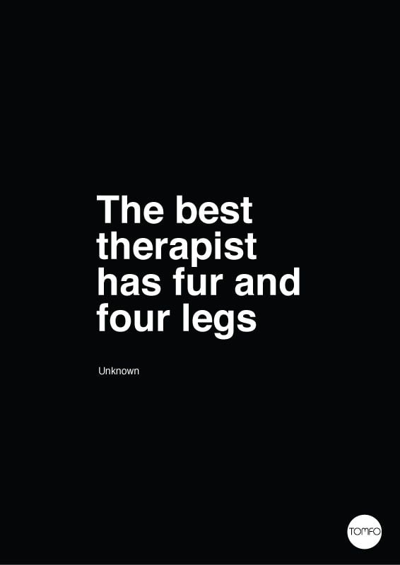 The best therapist has fur and four legs.