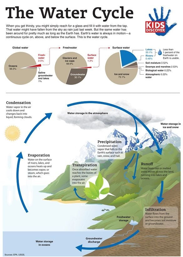 The Water Cycle (Infographic)