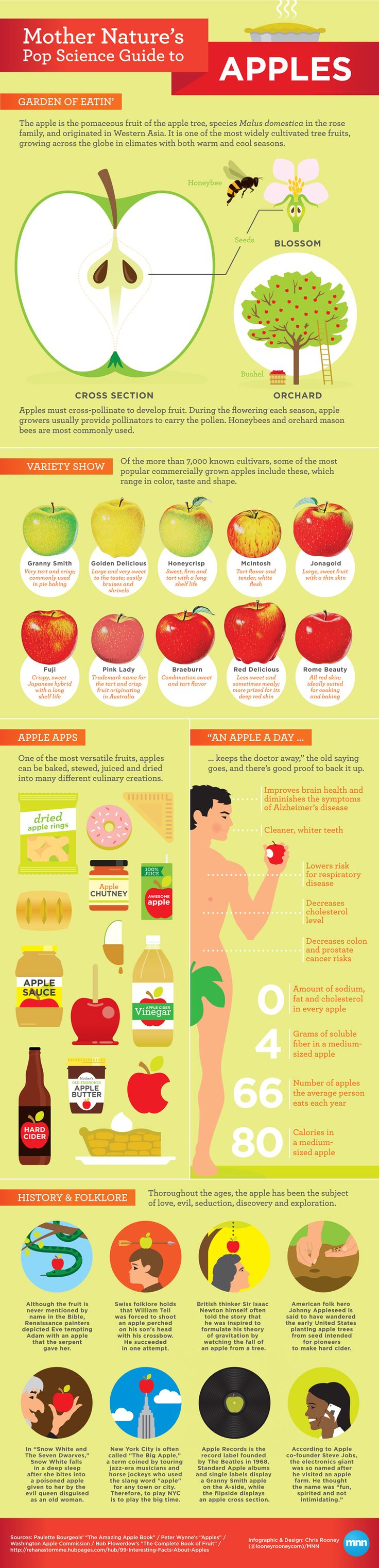 Mother Nature’s Pop Science Guide to Apples (Infographic)