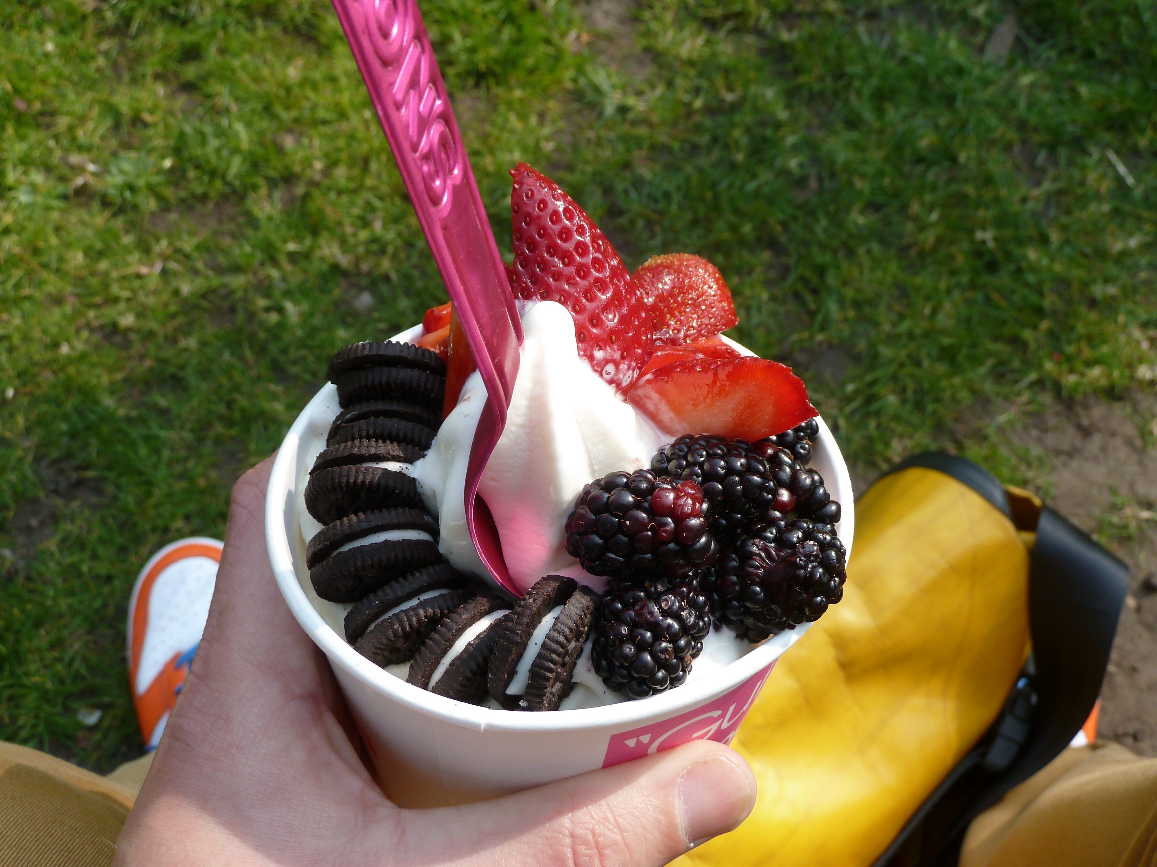 5 Reasons Why Frozen Yogurt Is Not as Healthy as You Thought