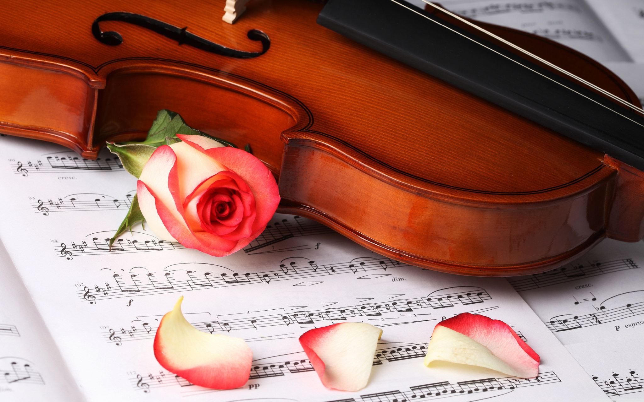 5 Reasons Why People Who Listen To Classical Music Have Better Sleep