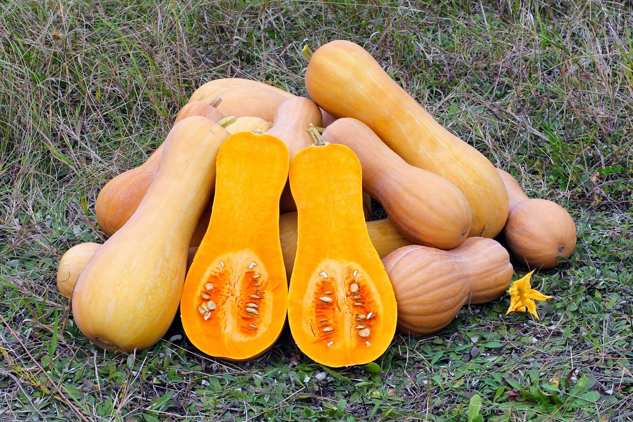 8 Good Things About Butternut Squash You Need To Know