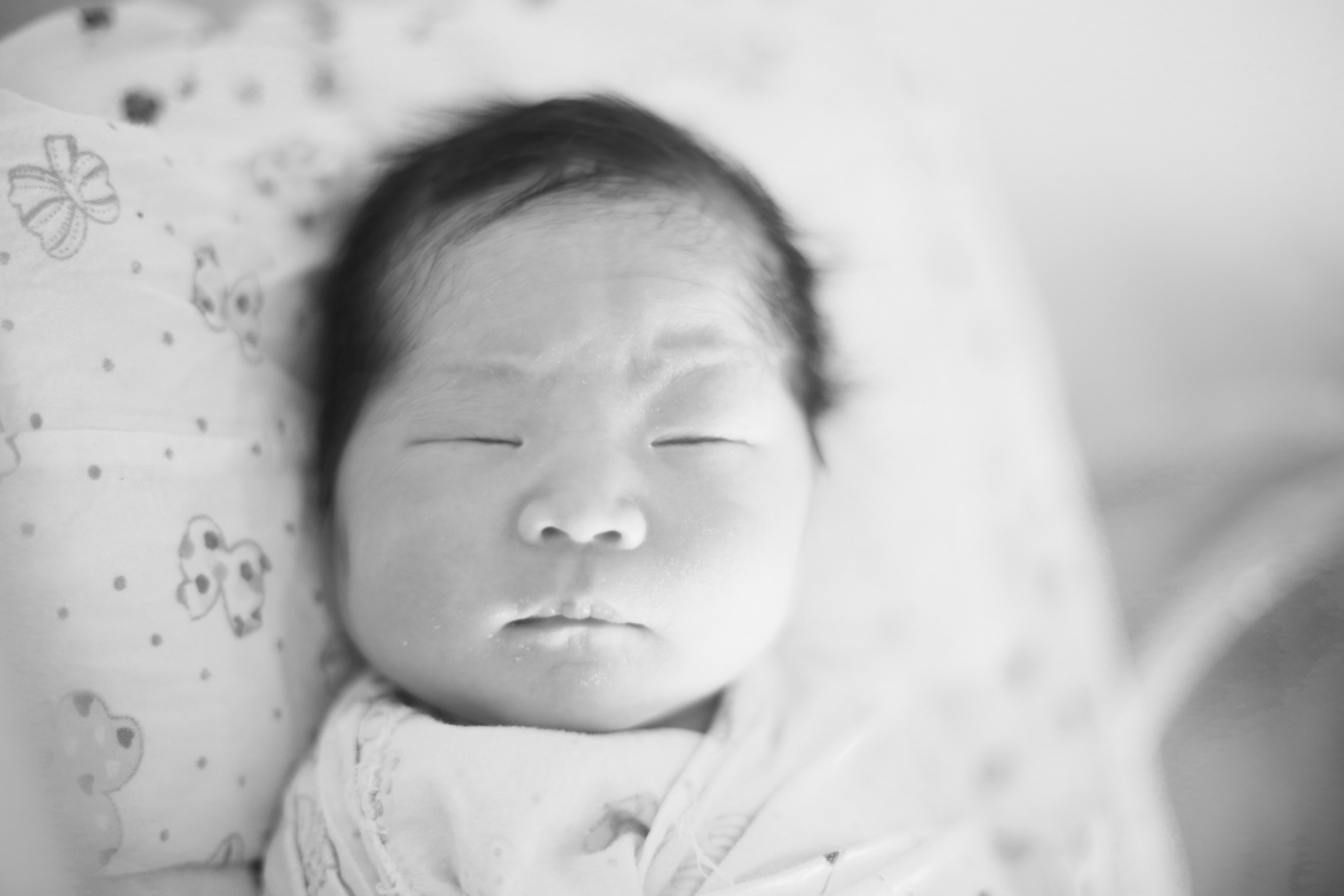 Newborn Sleep and Feeding Schedule