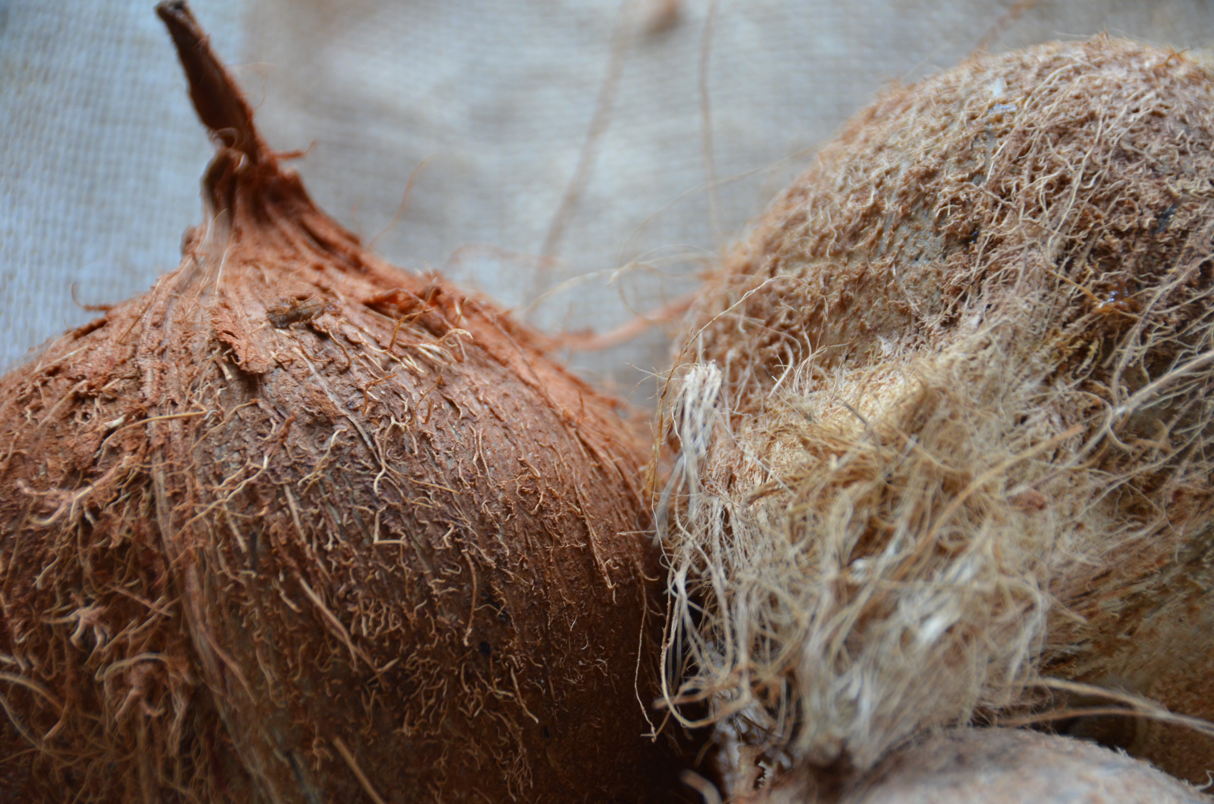 8 Facts You Need To Know About Coconut Water