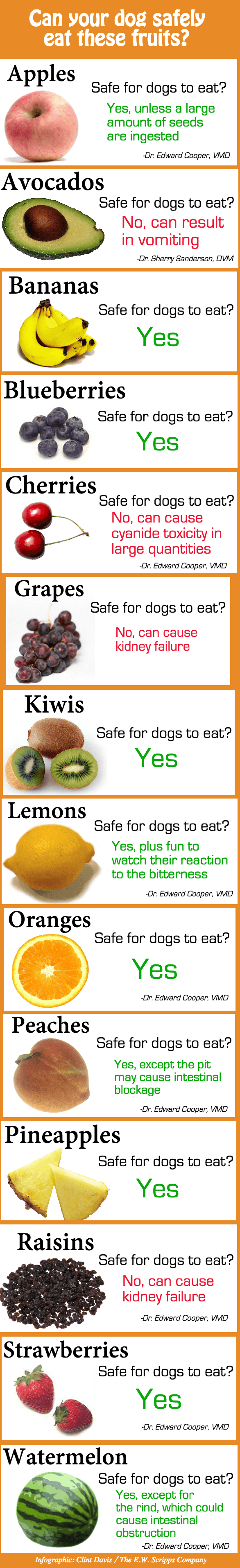 Foods Dogs Cant Eat Chart - Goldenacresdogs.com