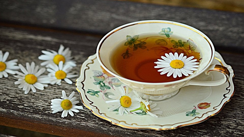 Drinking tea is a profound ritual that will improve your life