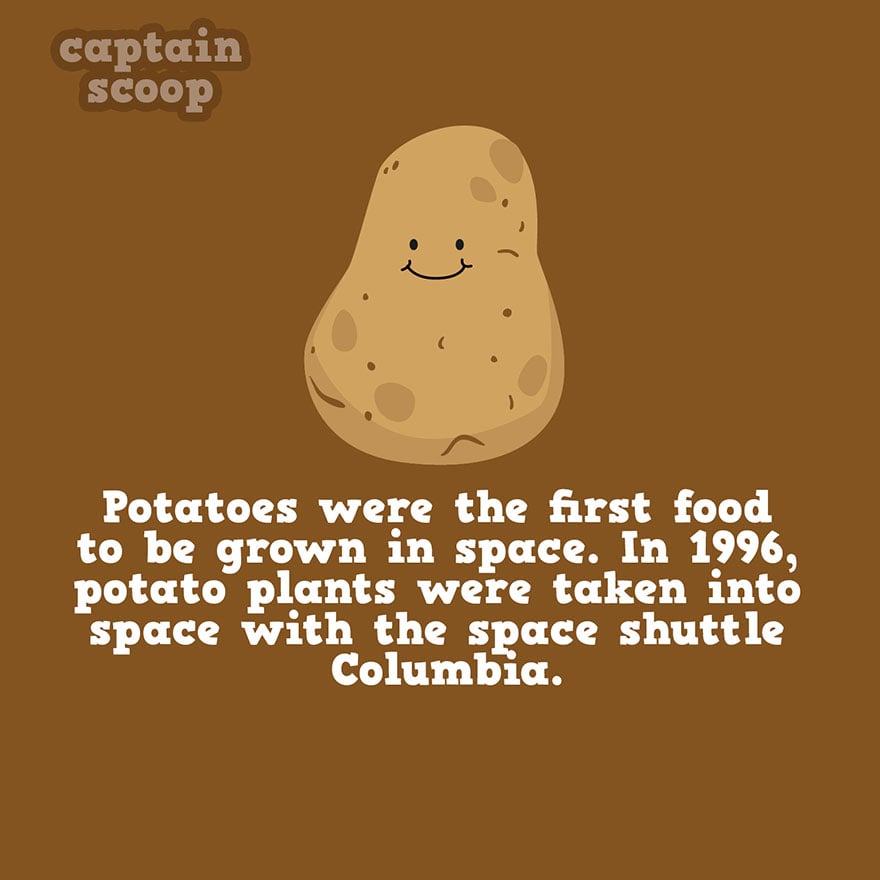 interesting-facts-about-vegetables-81__880