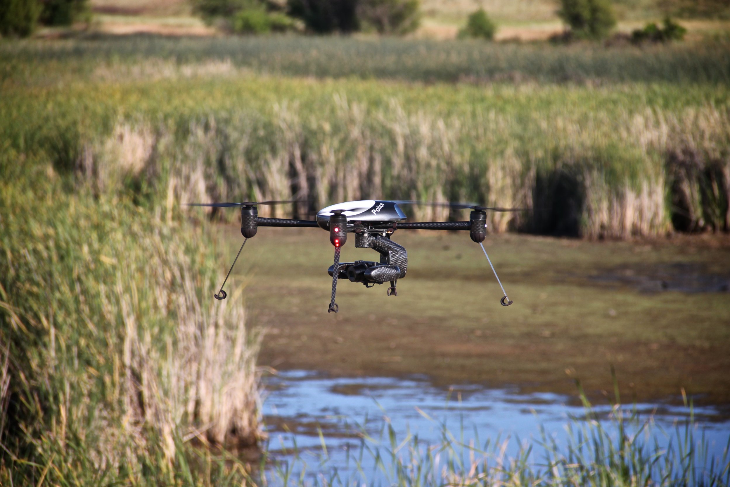 Drone Wildlife Preservation