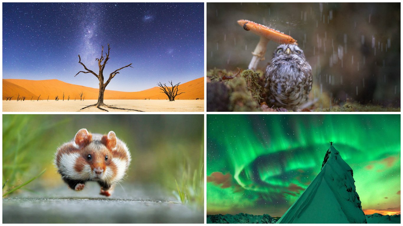 20 Stunning Photos That Capture The Relationship Between Nature, Animals And Humans