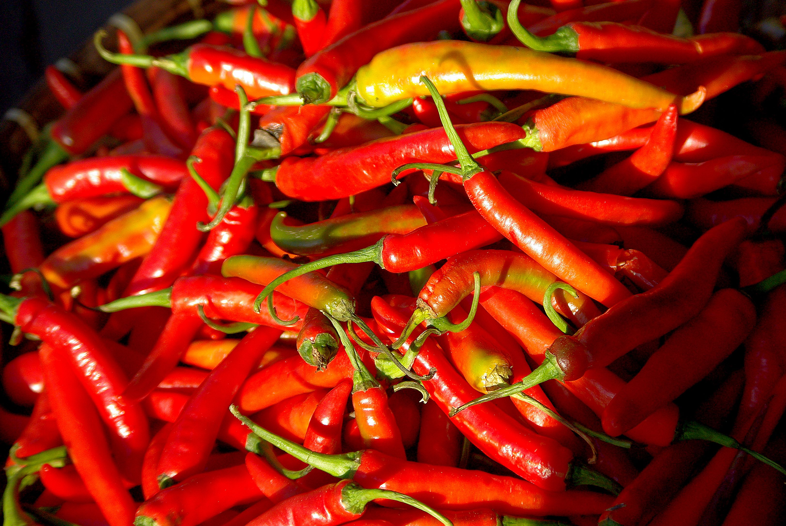 Science Says People Who Love Spicy Foods Live Longer