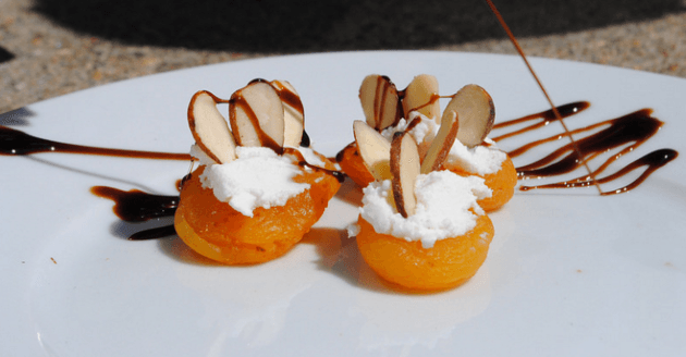 apricot-chocolate-bite