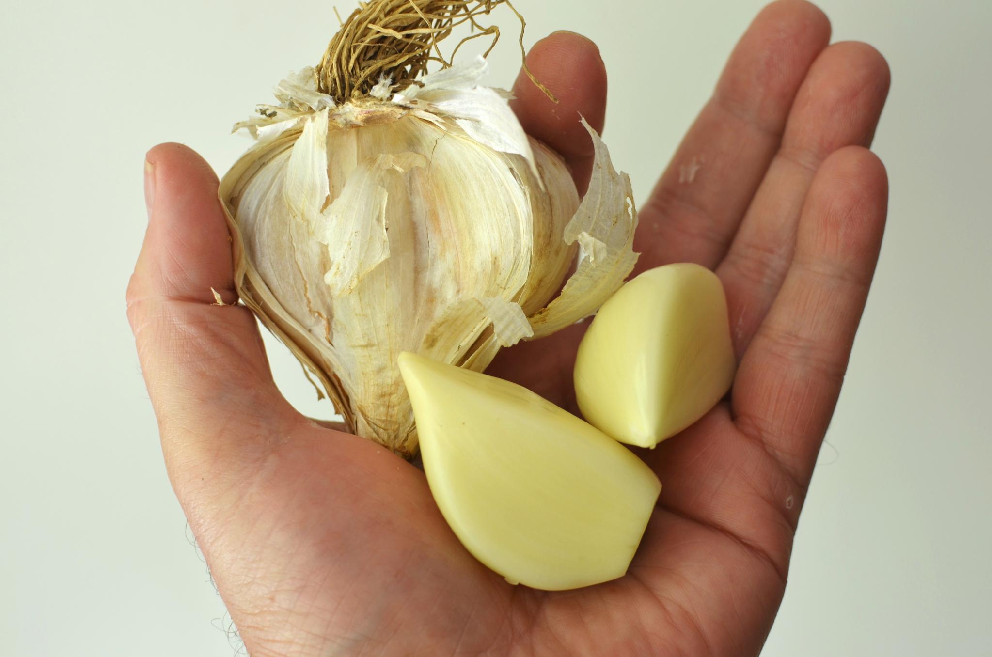 7 Surprising Benefits Of Garlic (With Recipe)