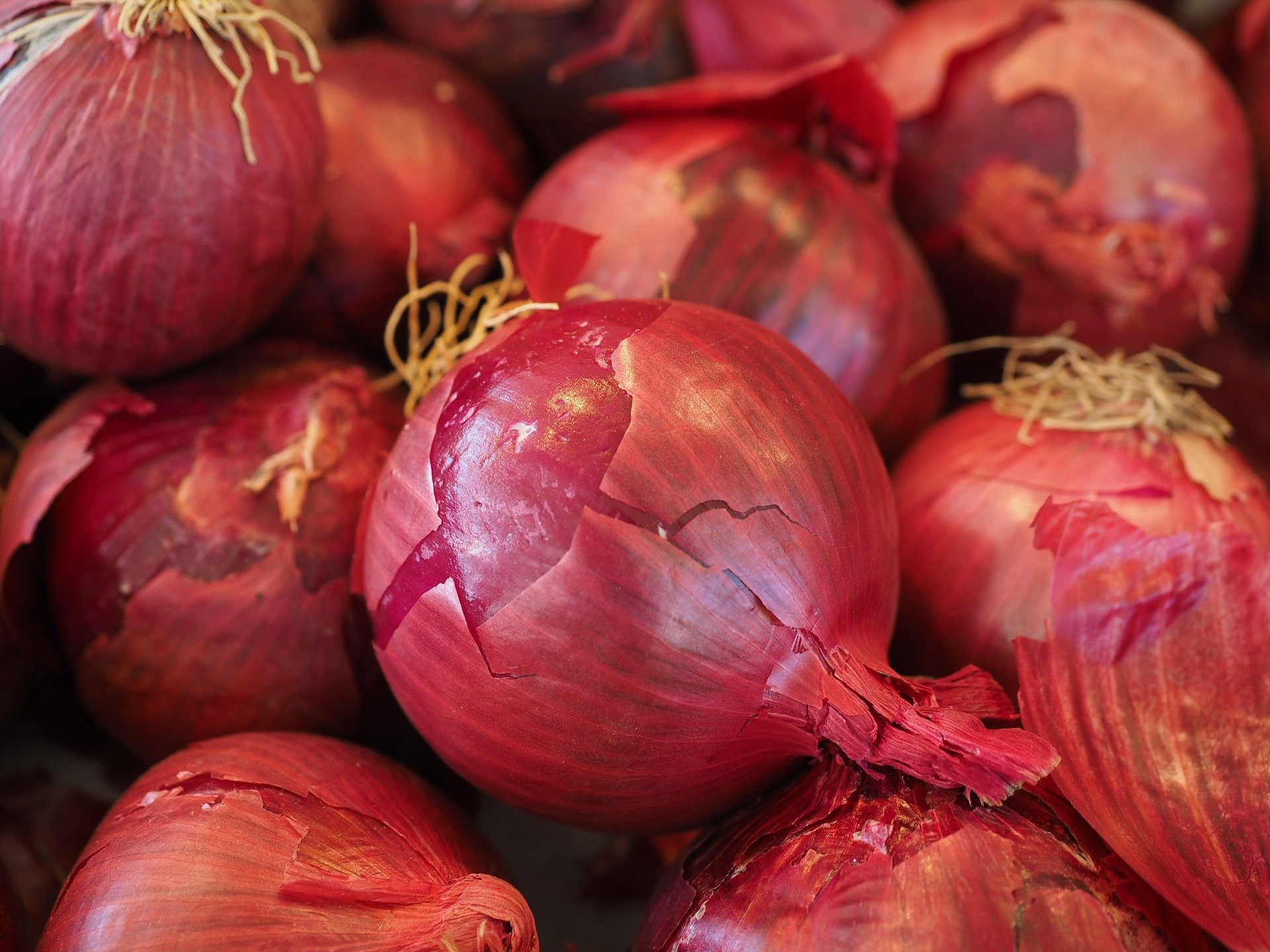 10 Benefits Of Onions You Didn’t Know About
