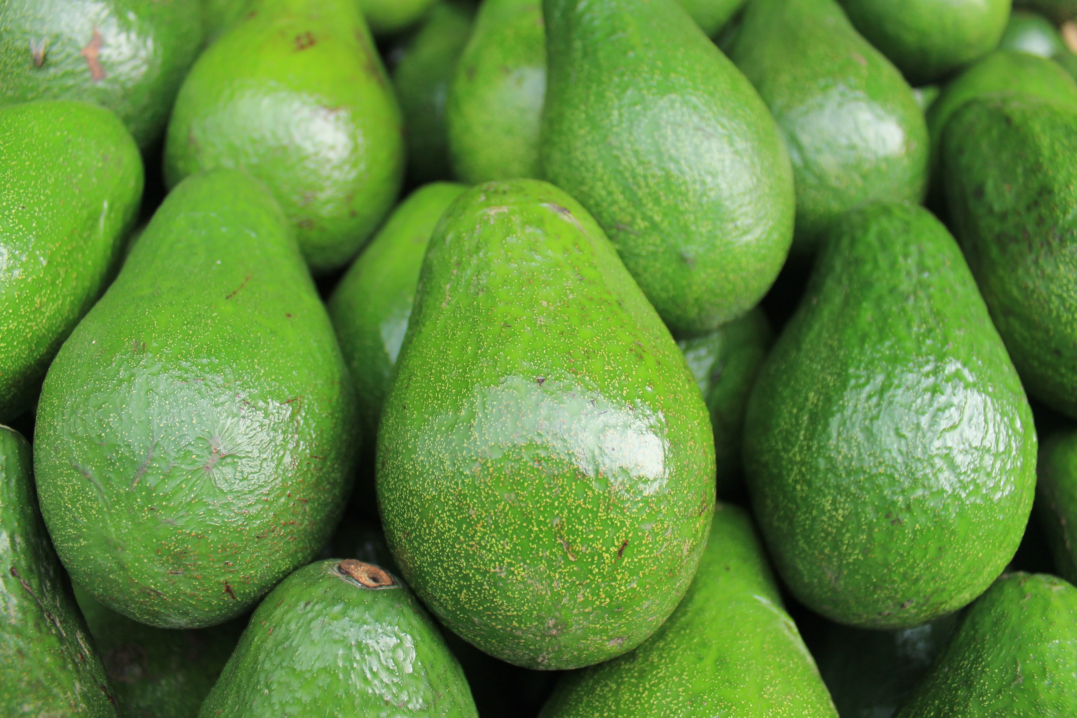healthy-foods-avocado 