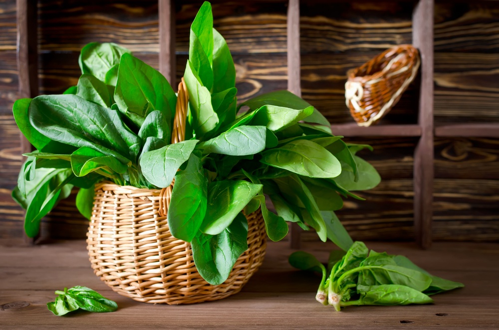 Amazing Benefits Of Spinach (+5 Refreshing Recipes)